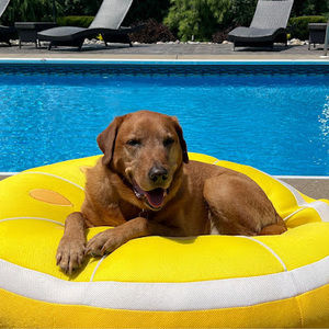 Meet your Posher, Lori